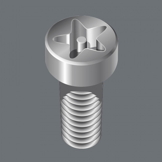 867/1 IPR TORX PLUS® BITS MET BORING, 30 IPR X 25 MM