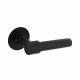 INTERSTEEL DEURKRUK L/L-MODEL MET ROZET 2 MM RVS/ZWART