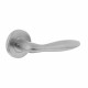 INTERSTEEL DEURKRUK JUPITER OP ROZET RVS GEBORSTELD
