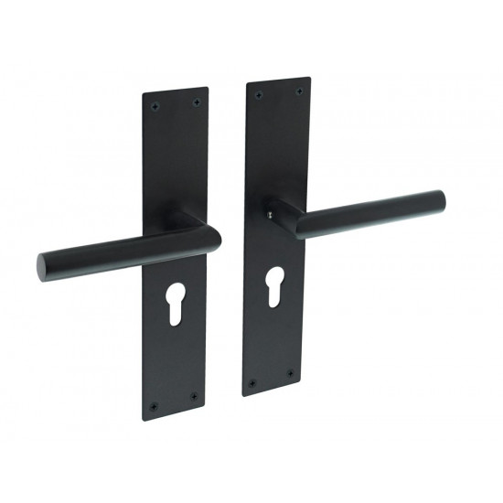 INTERSTEEL DEURKRUK JURA MET SCHILD 250X55X2MM PROFIELCILINDERGAT 55MM