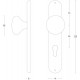 INTERSTEEL KNOP PADDENSTOEL OP SCHILD PROFIELCILINDERGAT 55 MM RVS GEB