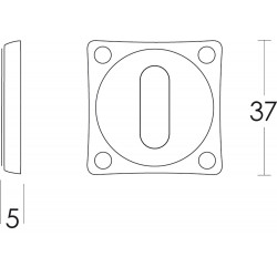 INTERSTEEL ROZET SLEUTELGAT VIERKANT BASIC NIKKEL MAT