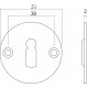 INTERSTEEL ROZET ROND PLAT 50 MM SLEUTELGAT PLAT RVS GEBORSTELD