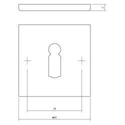 INTERSTEEL ROZET SLEUTELGAT VIERKANT PLAT RVS GEBORSTELD