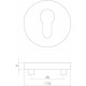 INTERSTEEL ROZET ROND 55 MM MET PROFIELCILINDERGAT RVS GEBORSTELD