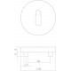 INTERSTEEL ROZET ROND 55 MM MET SLEUTELGAT RVS GEBORSTELD