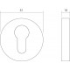 INTERSTEEL ROZET SET ROND MET PROFIELCILINDERGAT RVS GEBORSTELD