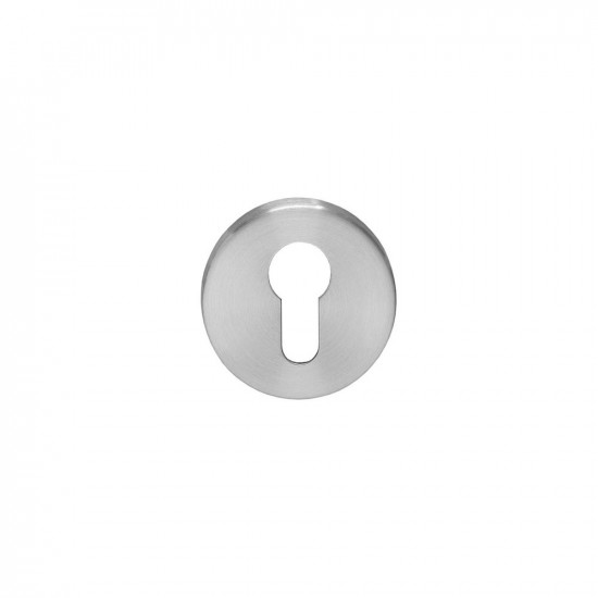 INTERSTEEL ROZET ROND MET PROFIELCILINDERGAT RVS GEBORSTELD