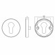 INTERSTEEL ROZET ROND MET PROFIELCILINDERGAT RVS GEBORSTELD