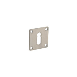 INTERSTEEL ROZET MET SLEUTELGAT VIERKANT 42X42X2 MM RVS GEBORSTELD