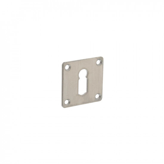 INTERSTEEL ROZET MET SLEUTELGAT VIERKANT 42X42X2 MM RVS GEBORSTELD