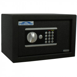 DOMESTIC SAFE DS 2031 E