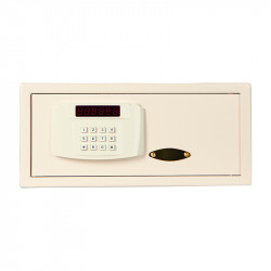 HOTELSAFE HL DP-X20MS