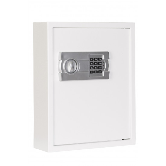 PROTECTOR KEY 80E