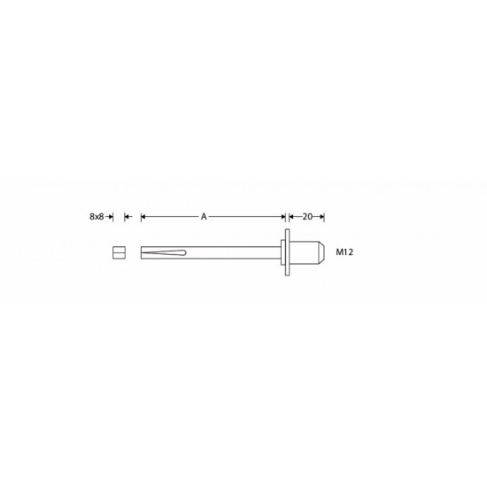 WISSELSTIFT DRAAIBAAR Q8MM M12X80MM YVZ