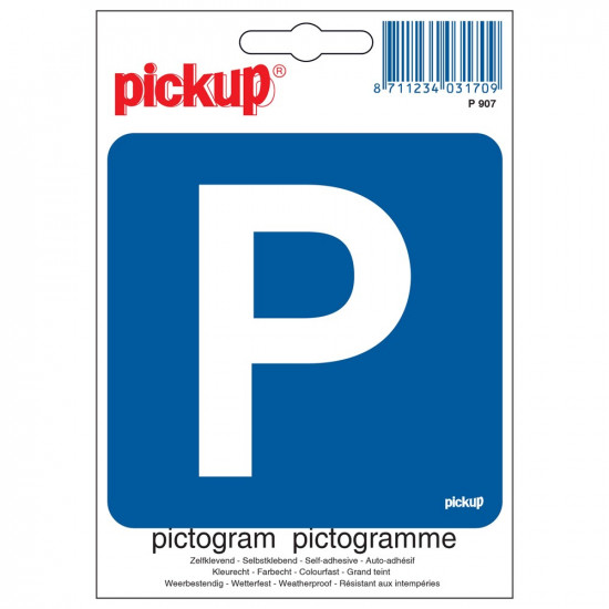 PARKEREN P 10X10 P907