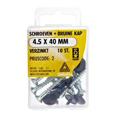 SCHROEVEN + BRUINE KAP VZ 4.5X40 10 ST