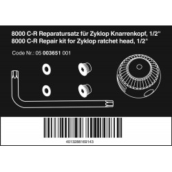 8000 C-R REPARATIESET VOOR ZYKLOP SPEED-RATELKOP, 1/2", 1/2"