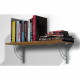 ZB PLAATPLUGGEN PD-10 SK 90915