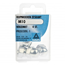 DOPMOEREN ZESKANT VERZINKT M10 4 ST